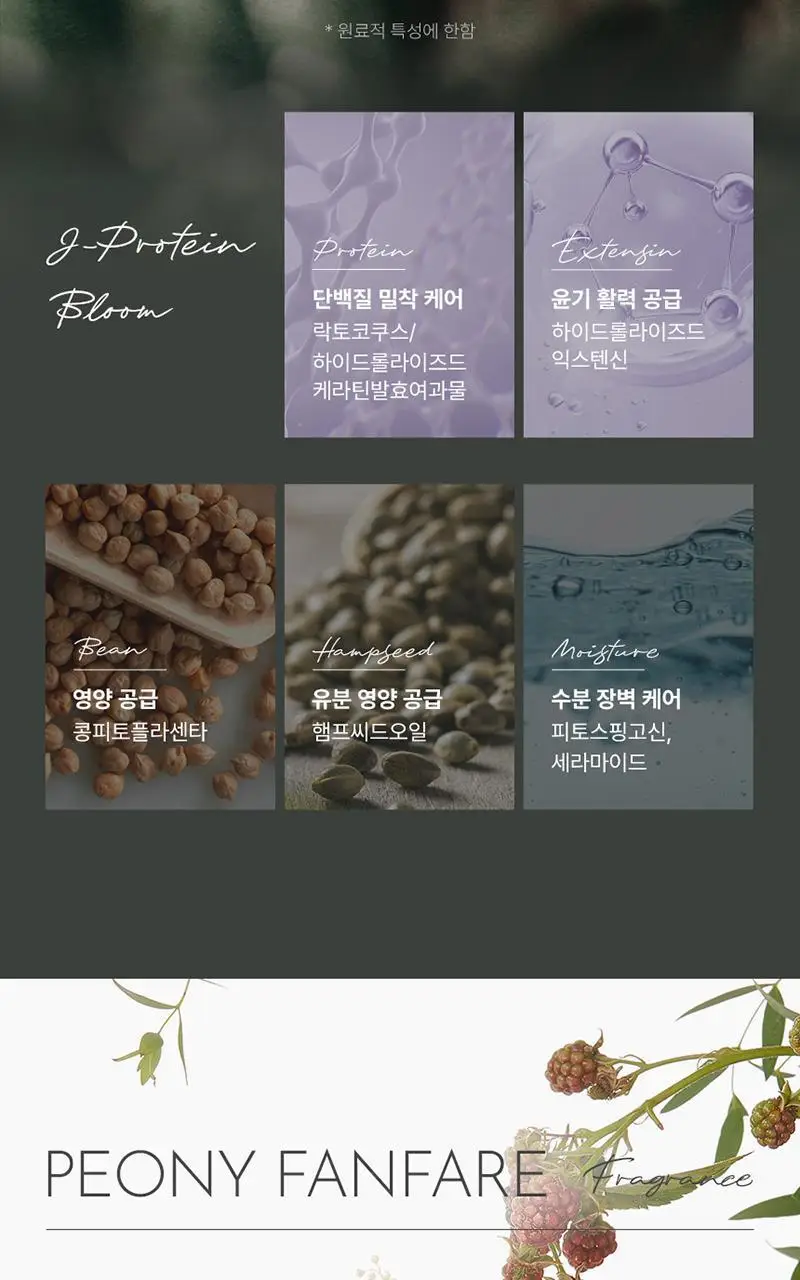 제이숲 실크 케라틴 폼 트리트먼트 200ml 상세페이지 19