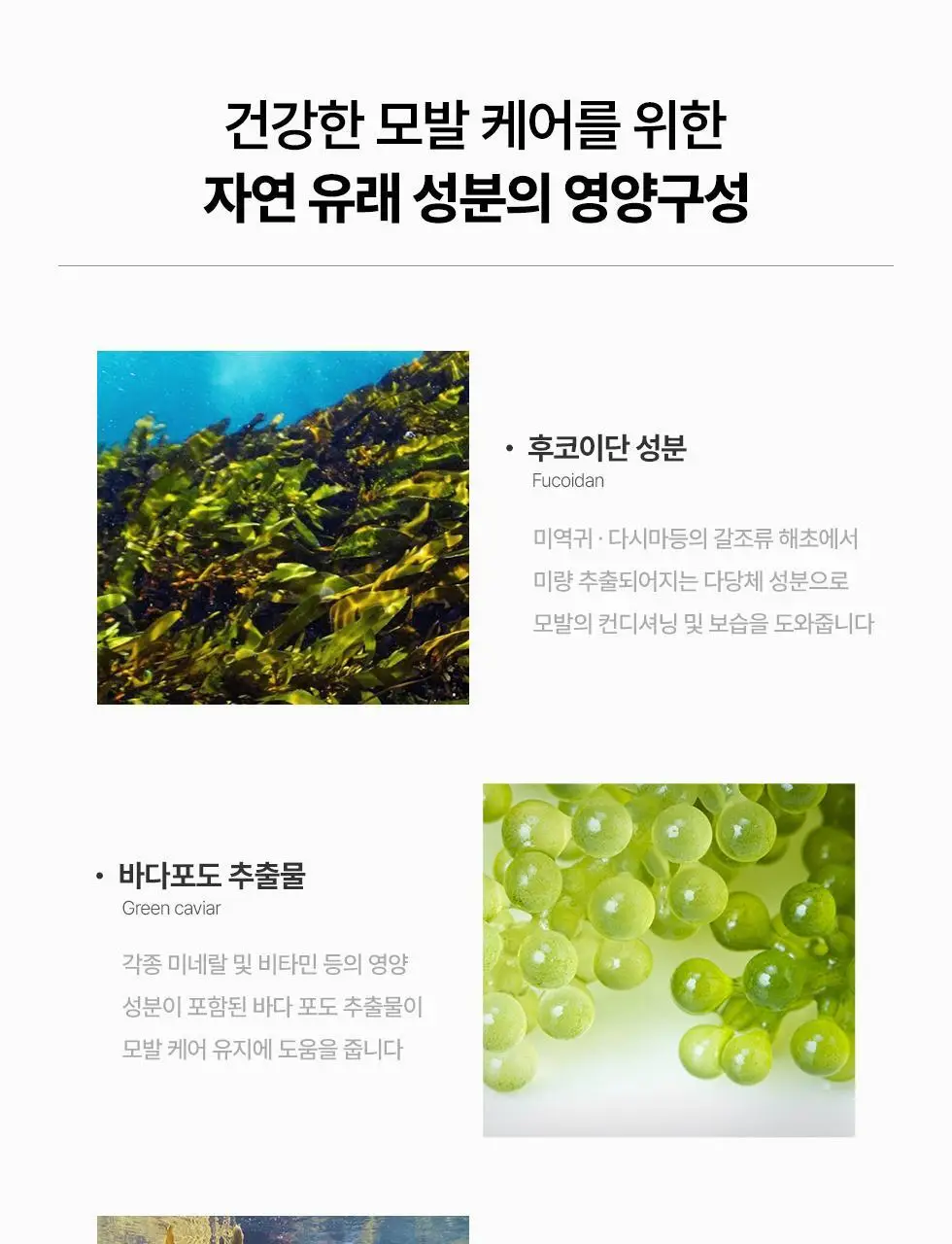 파이브센스 헤어 폼 200ml 상세페이지 6