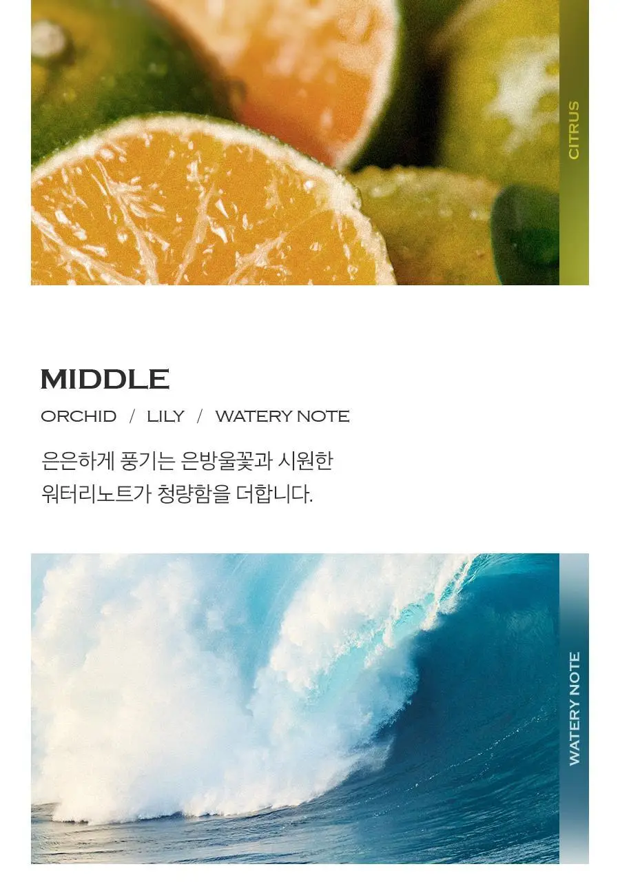 포뷰트 시그니처 헤어퍼퓸 50ml 애프터선셋 상세페이지 7