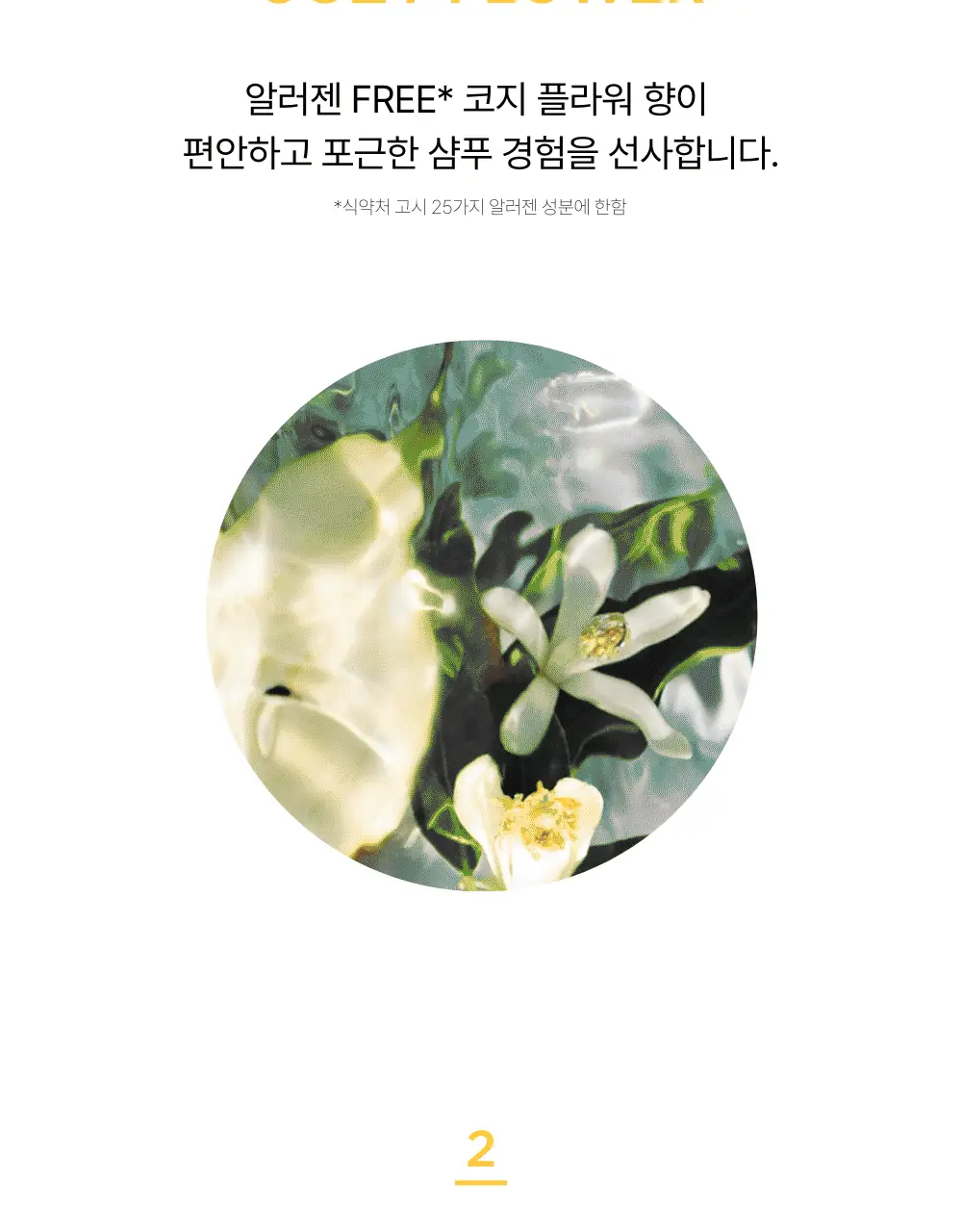 네쉬 소이 바이옴 프로틴 리페어 트리트먼트 250ml 상세페이지 12