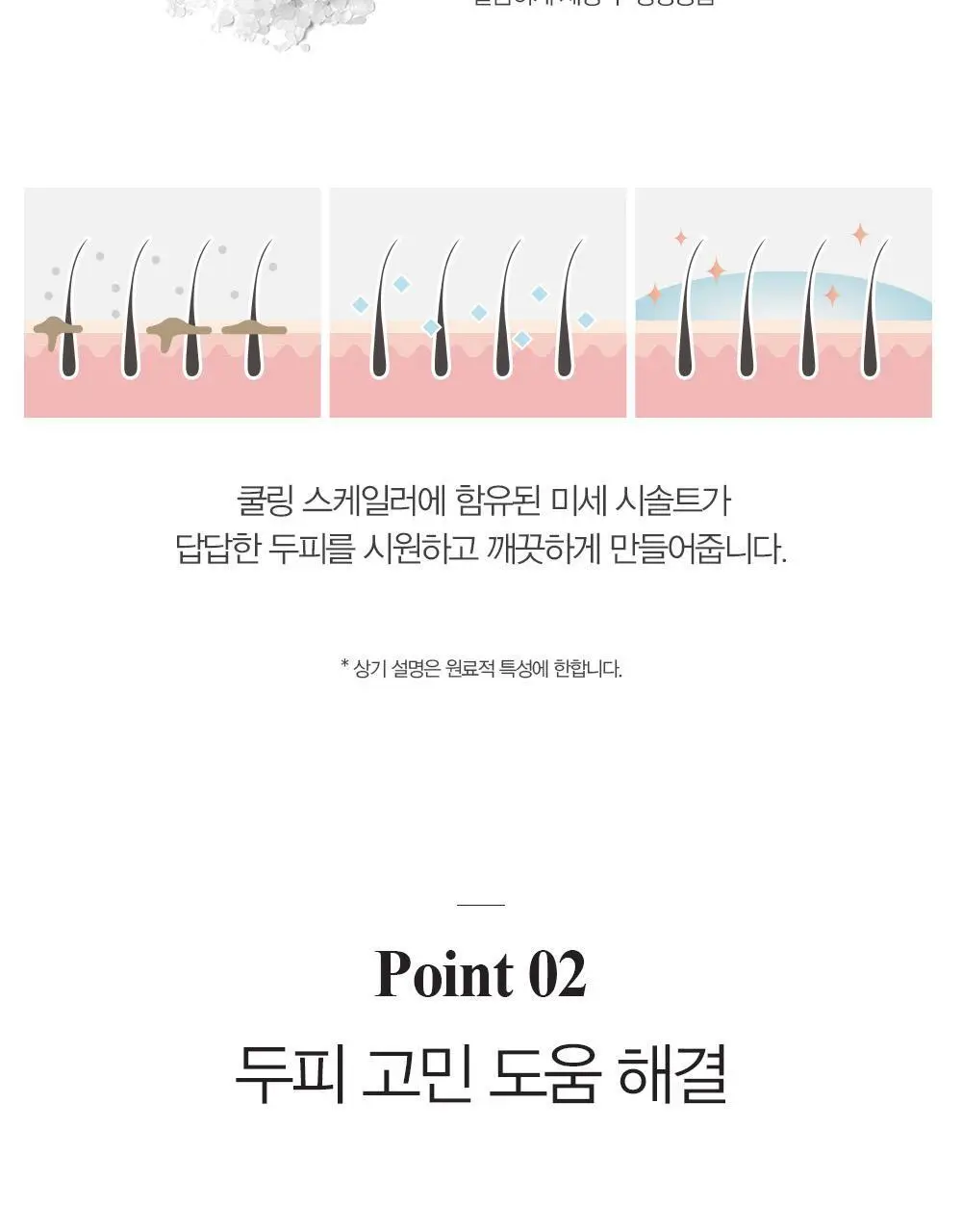 달리프 애플민트 쿨링 스케일러 250g (탈모증상완화/두피노폐물흡착) 상세페이지 20