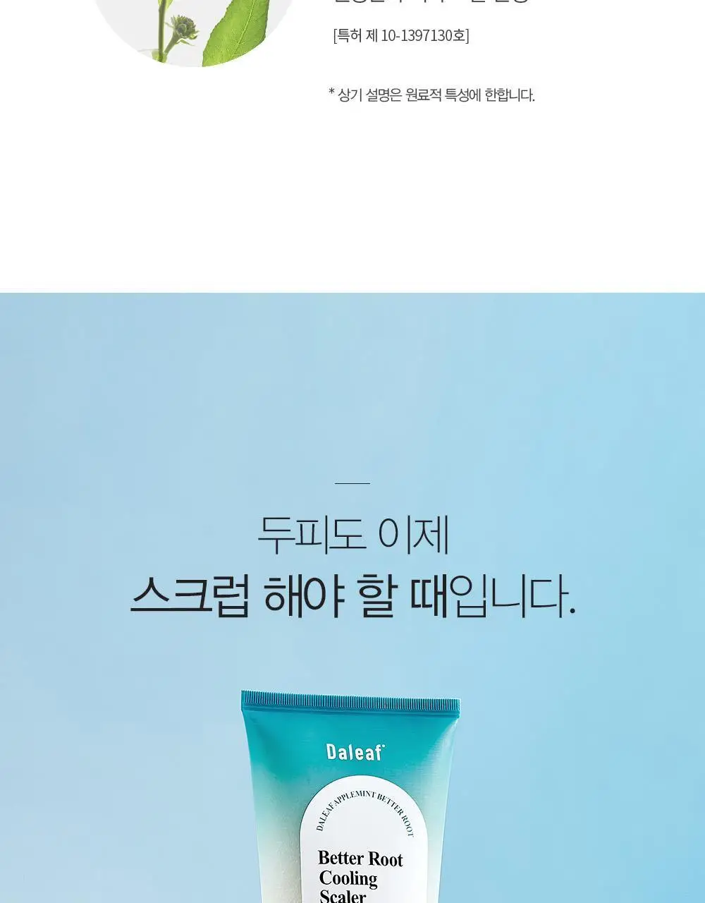 달리프 애플민트 쿨링 스케일러 250g (탈모증상완화/두피노폐물흡착) 상세페이지 23