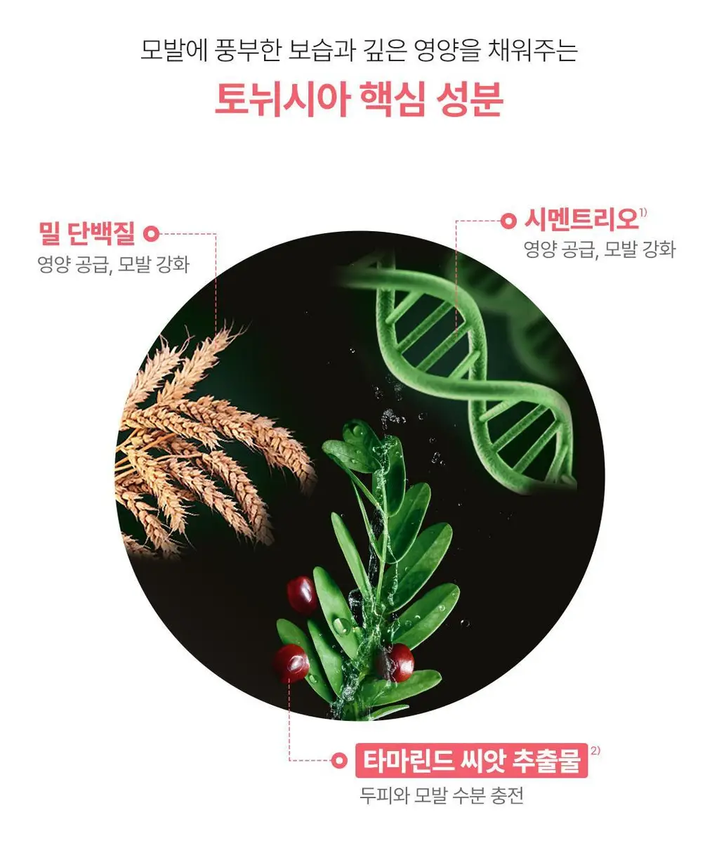 르네휘테르 토뉘시아 수분 볼륨 플럼핑 마스크 250ml 상세페이지 6