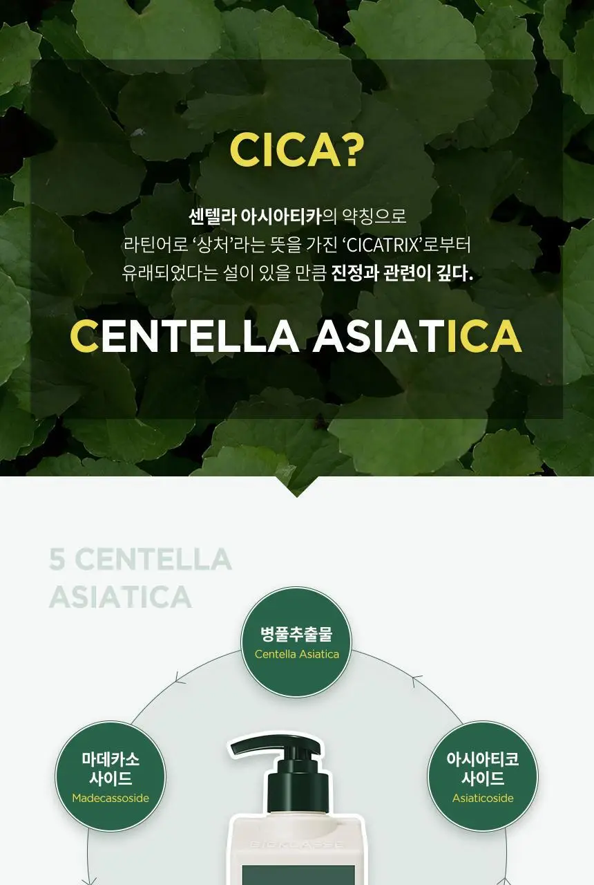 밀크바오밥 시카 리프레싱 스칼프 팩 500ml 상세페이지 6