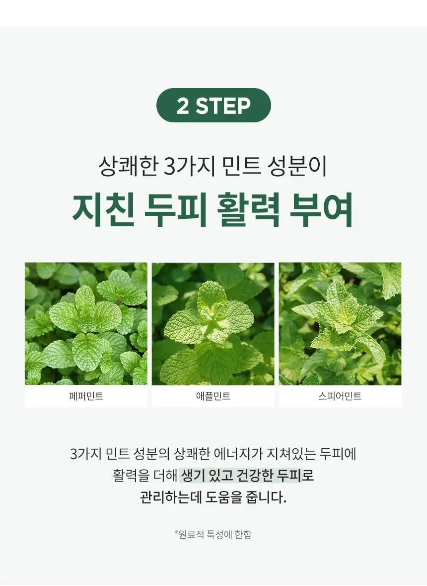 밀크바오밥 시카 리프레싱 스칼프 팩 500ml 상세페이지 13