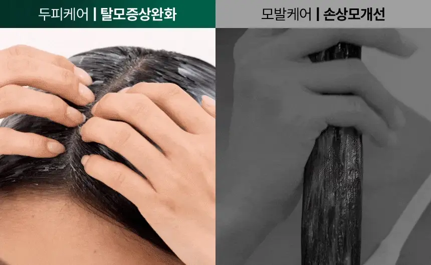 바이브랩 리바이 솔루션 스칼프 프로틴 트리트먼트 200ml 더블기획 상세페이지 9