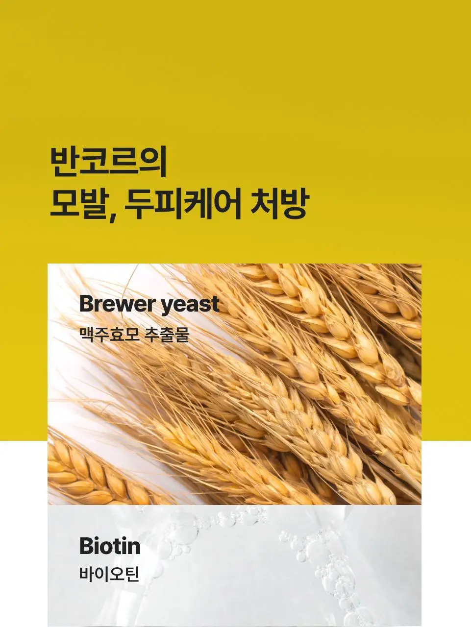 반코르 맥주효모 트리트먼트 500ml 상세페이지 2