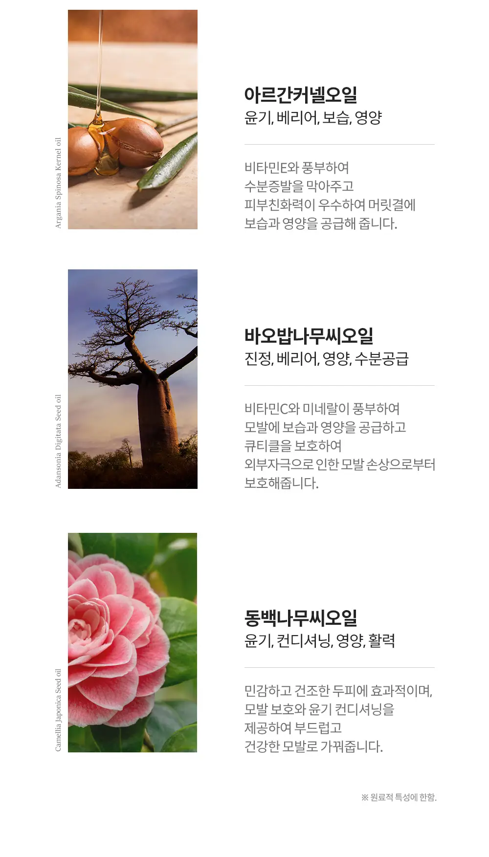 보타믹스 포레스트 그로우 인텐시브 트리트먼트 480ml(탈모증상완화) 상세페이지 12