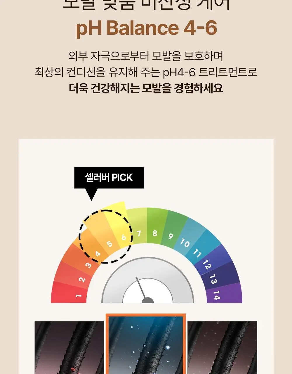 셀러버 아르간 오일 데미지 컨트롤 트리트먼트 300ml 상세페이지 20