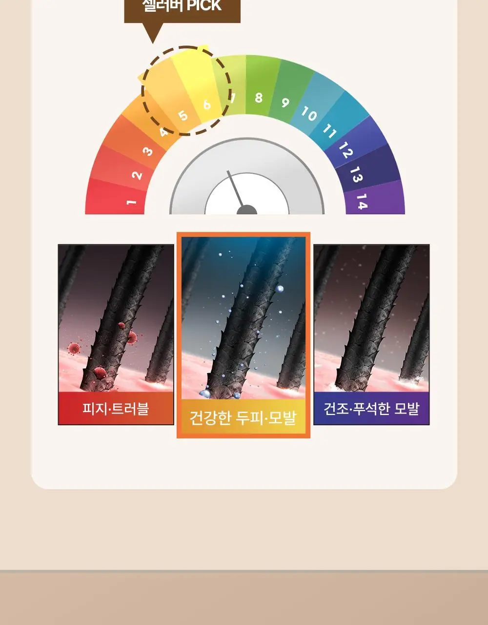 셀러버 아르간 오일 LPP 데미지 컨트롤 헤어팩 300ml 상세페이지 21