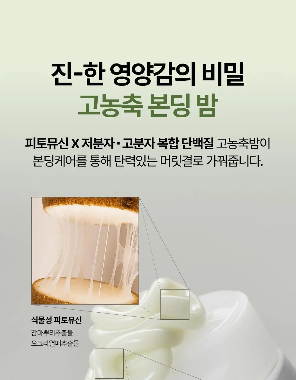 시티르 인텐시브 너리싱 테라피 헤어팩 200ml 상세페이지 12