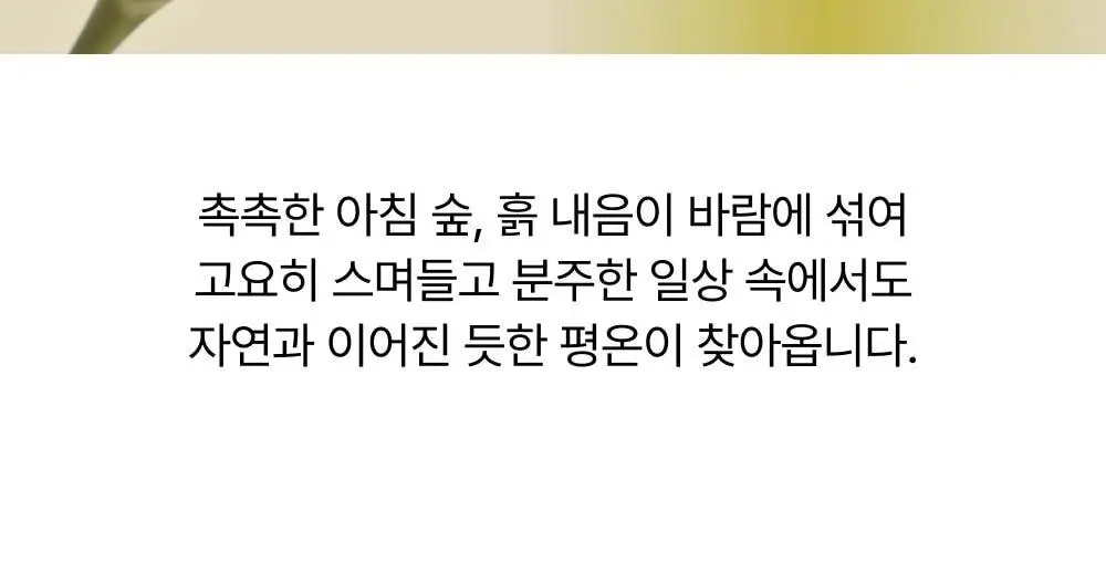 시티르 인텐시브 너리싱 테라피 헤어팩 200ml 상세페이지 25