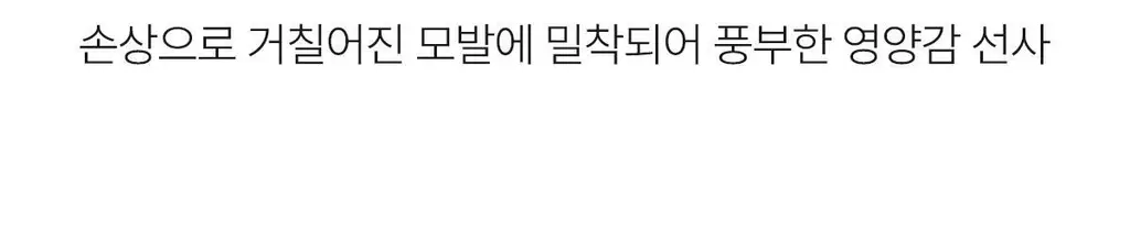 아도르 퍼펙트 헤어필업 듀오 100ml+100ml (생크림 트리트먼트) 상세페이지 28
