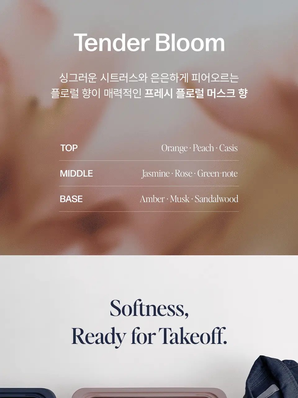 어노브 트래블 키트(샴푸52ml+트리트먼트40ml+헤어오일10ml+미스트30ml) 상세페이지 7