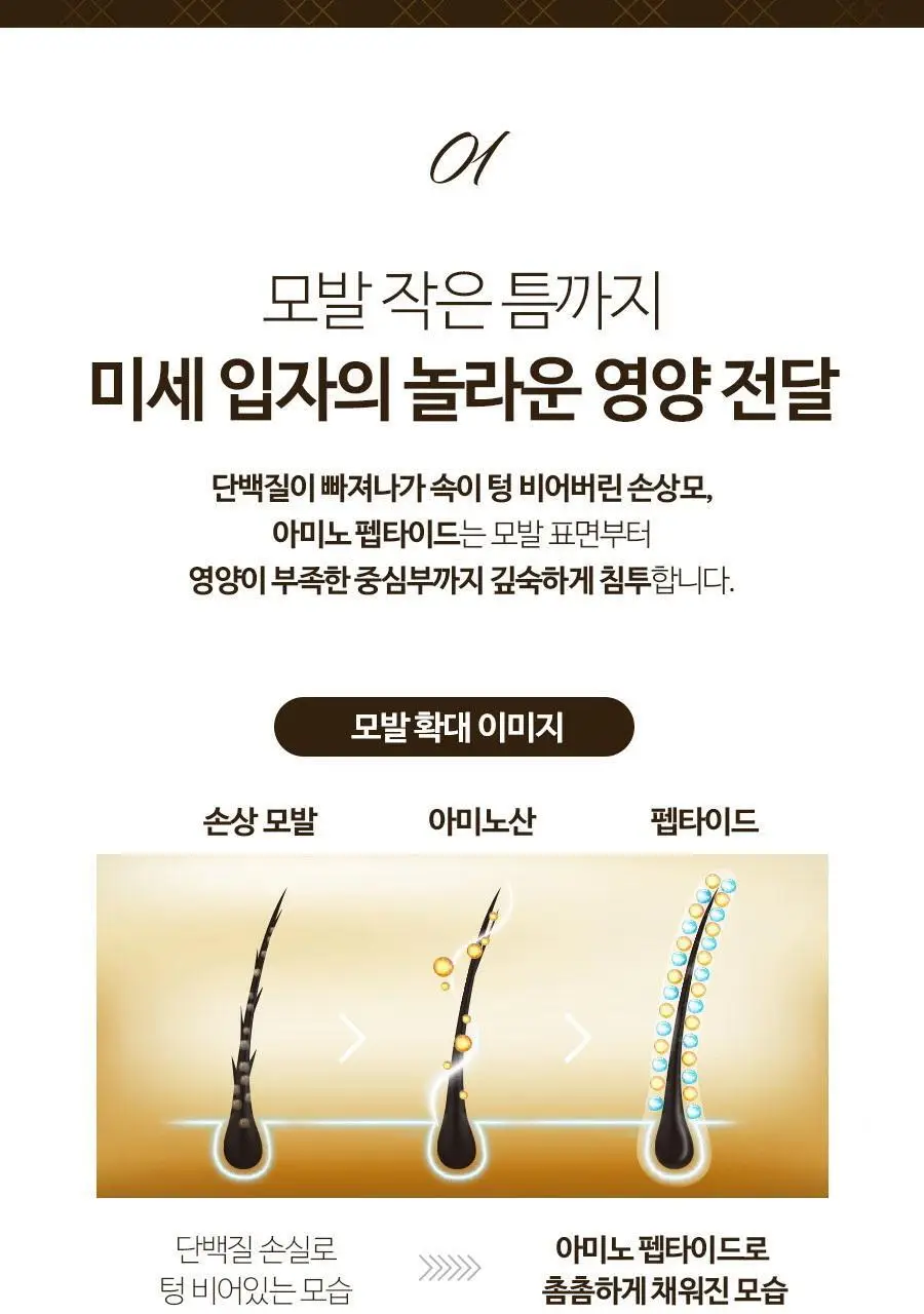 엘라스틴 아미노펩타이드 트리트먼트 300ml 2종 택1 (블랑머스크/페어앤프리지아) 상세페이지 8