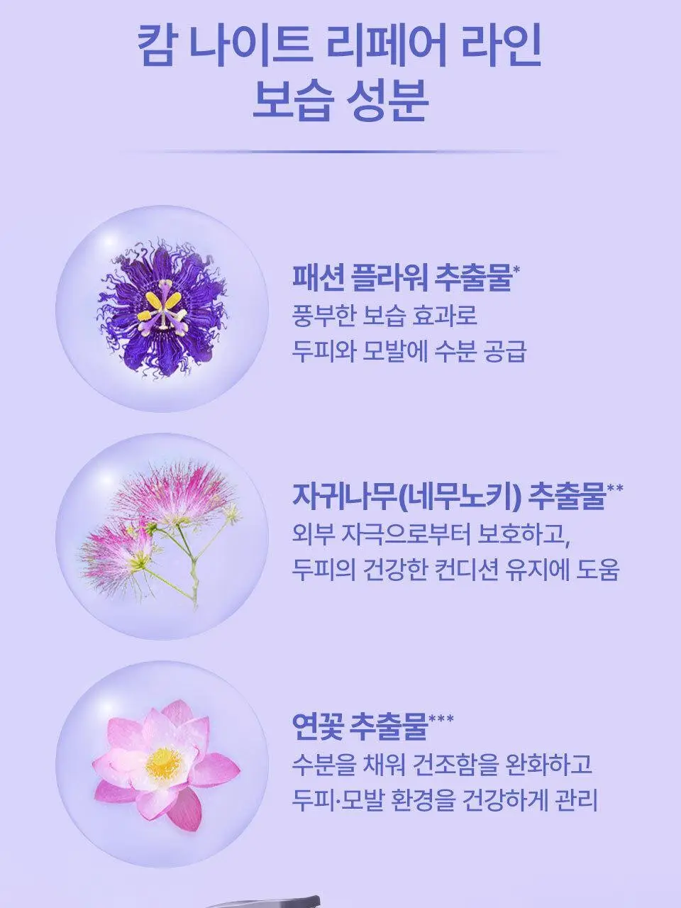 요루 캄 나이트 리페어 샴푸/트리트먼트 440ml (수분 케어) 상세페이지 18