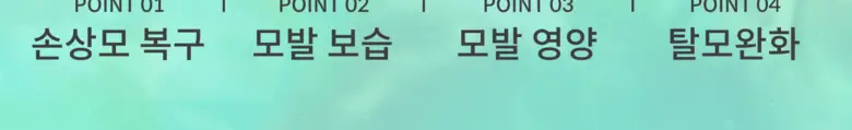 위드비컨 탈모증상완화 커션슬리퍼리 트리트먼트 300ml 상세페이지 2