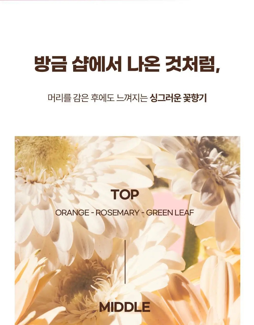 제니하우스 살롱테라피 데미지케어 트리트먼트 240ml 상세페이지 21