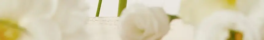 제이숲 실크 케라틴 헤어팩 트리트먼트 2X 500ml 상세페이지 19