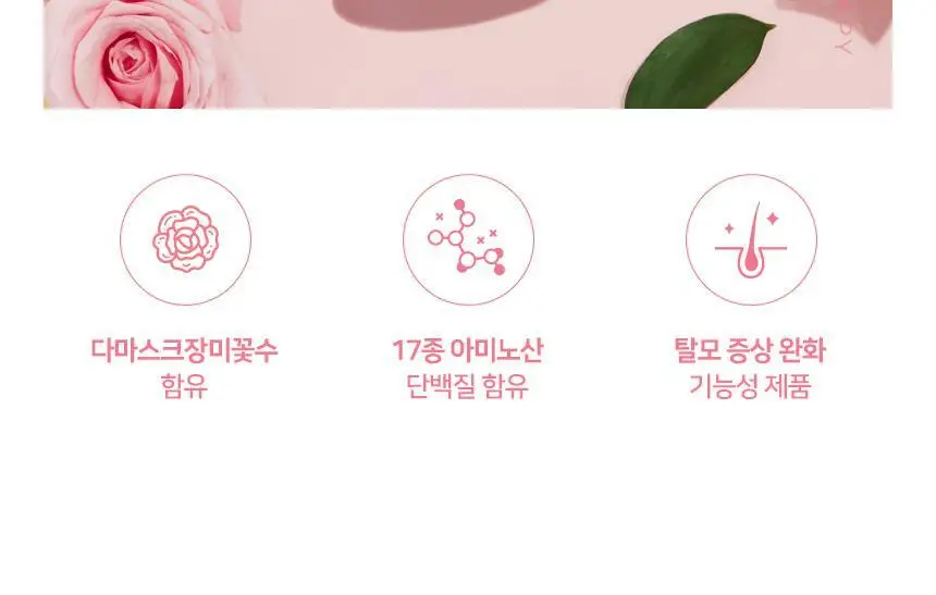 제이숲 오리지널 워터트리트먼트 로즈테라피 500ml 상세페이지 2