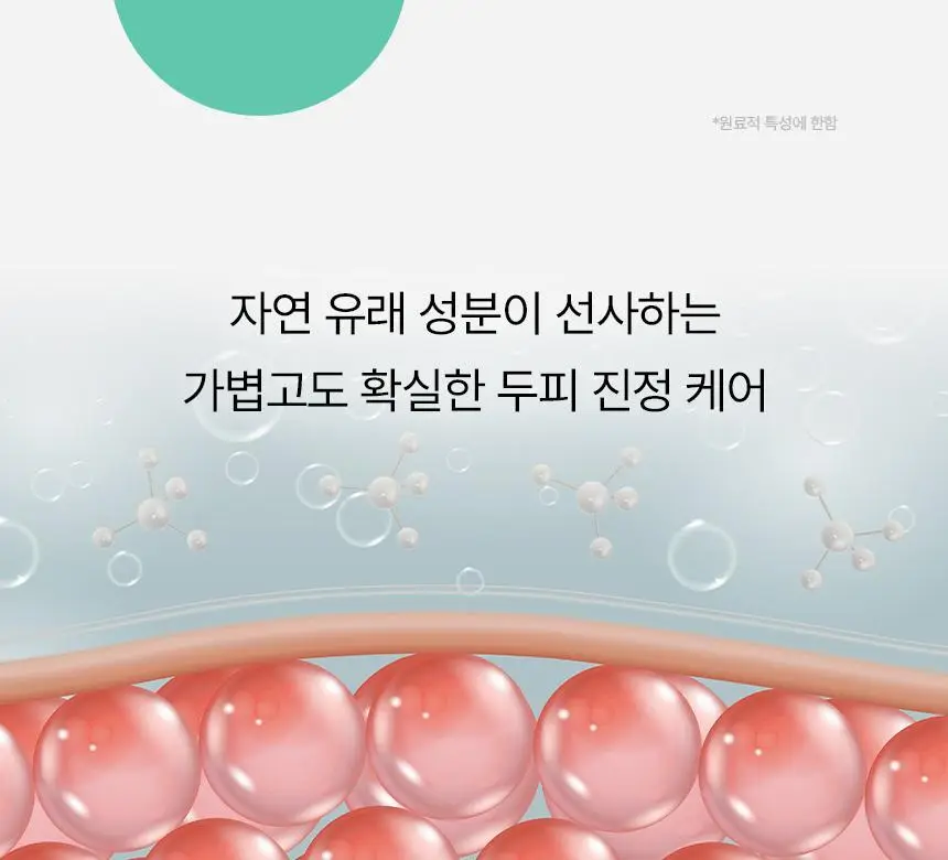 커리쉴 리바이탈라이징 트리트먼트 250ml 상세페이지 13
