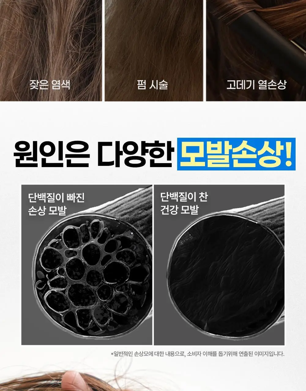 힐링버드 리바이브 단백질 트리트먼트 200ml 더블기획 상세페이지 8