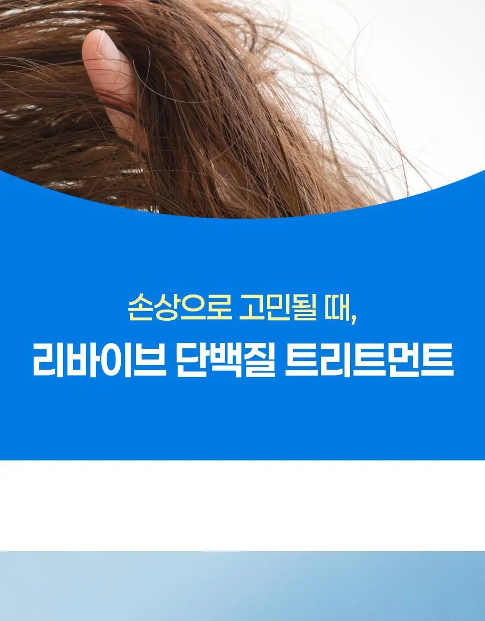 힐링버드 리바이브 단백질 트리트먼트 200ml 더블기획 상세페이지 9