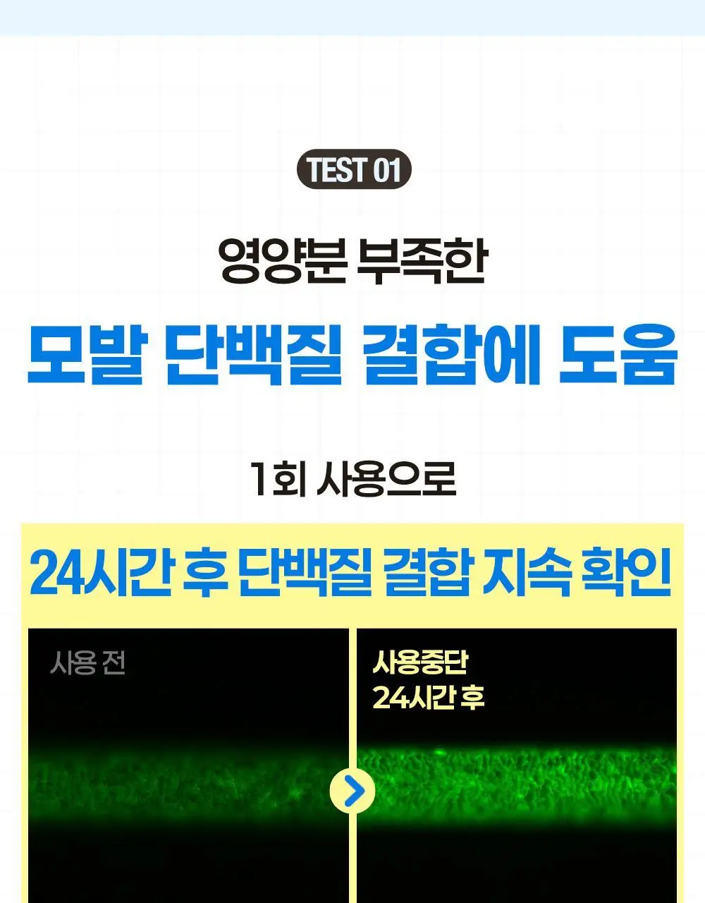 힐링버드 리바이브 단백질 트리트먼트 200ml 더블기획 상세페이지 14