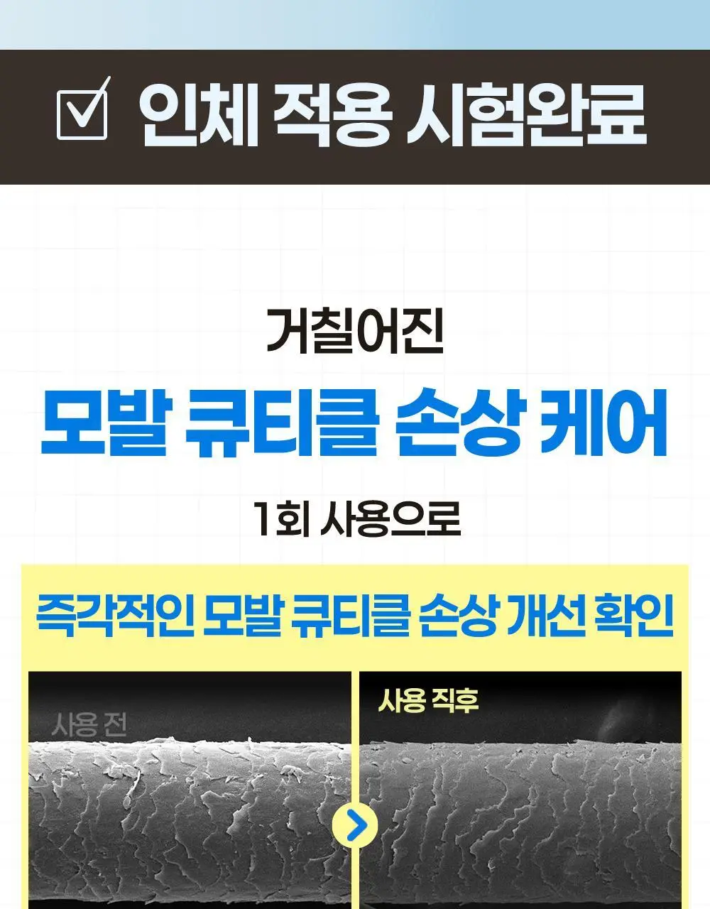 힐링버드 리바이브 단백질 트리트먼트 200ml 더블기획 상세페이지 20
