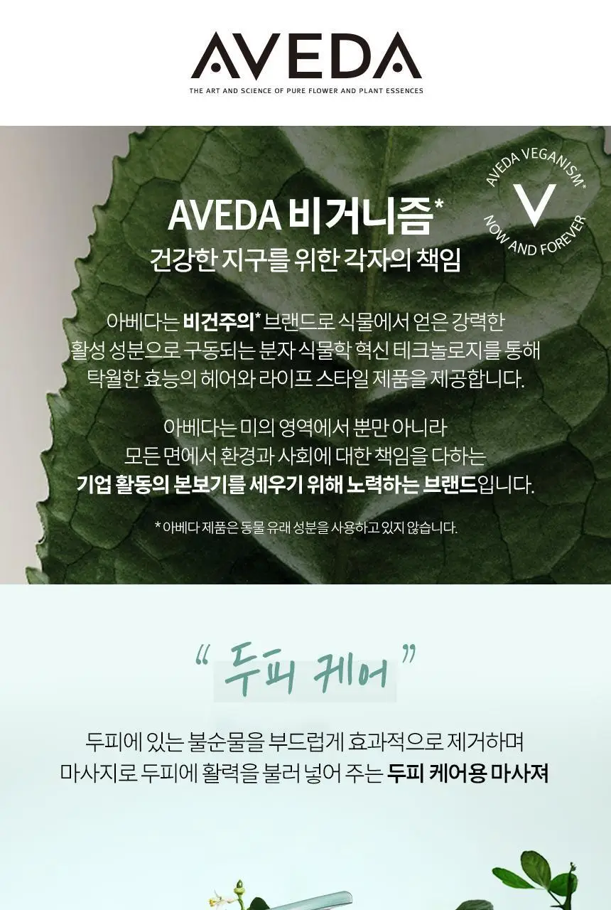 아베다 스칼프솔루션 스티뮬레이팅 스칼프 마사져 상세페이지 3
