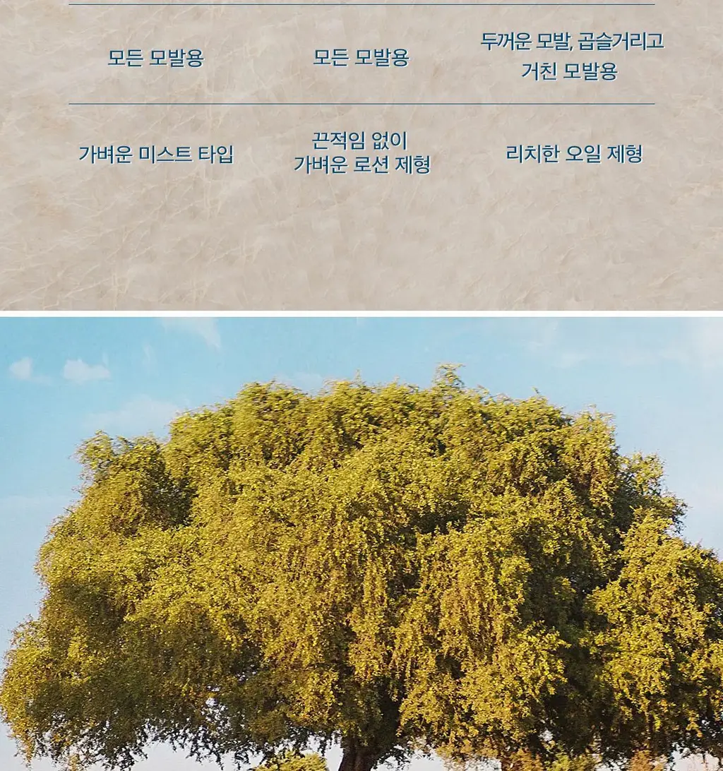 모로칸오일 스무딩 로션 75ml (+모로칸오일 트리트먼트 15ml 기획/단품) 상세페이지 21