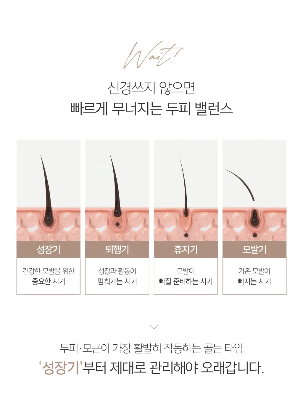미클리 3X 인텐시브 두피 영양 앰플 에센스 100ml 상세페이지 5