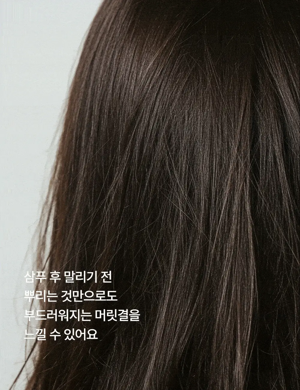 시티르 데일리 딥 케어 헤어 밀크 100ml 상세페이지 10