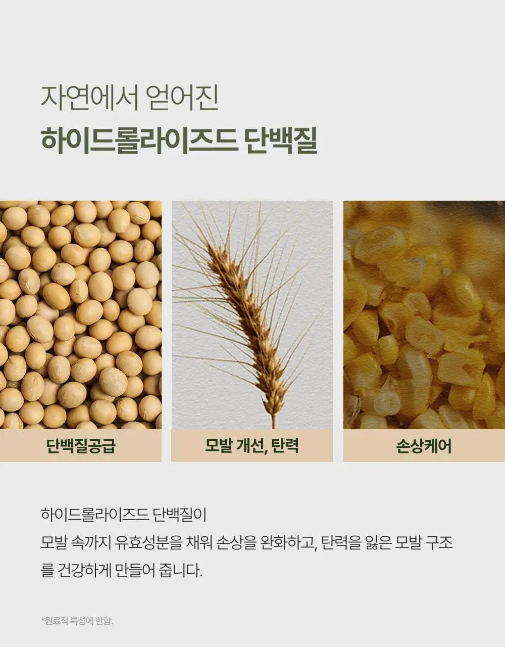 시티르 데일리 딥 케어 헤어 밀크 100ml 상세페이지 19