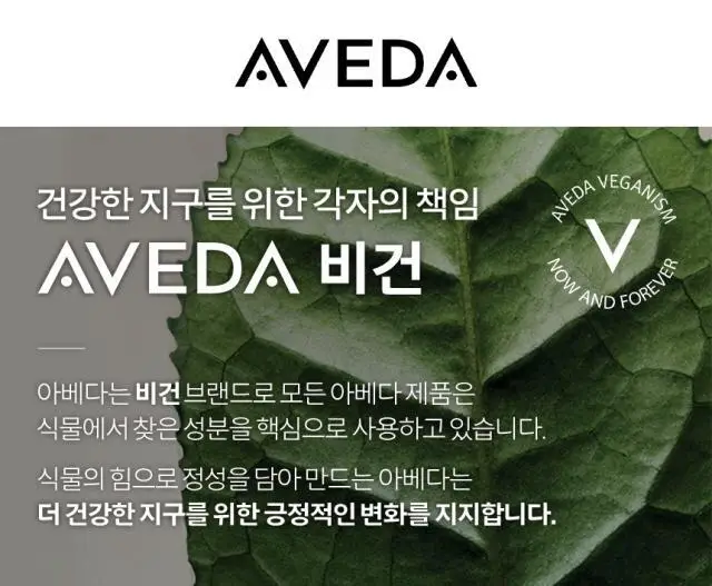아베다 라이트 엘리먼츠 스무딩 플루이드 100ml 상세페이지 3