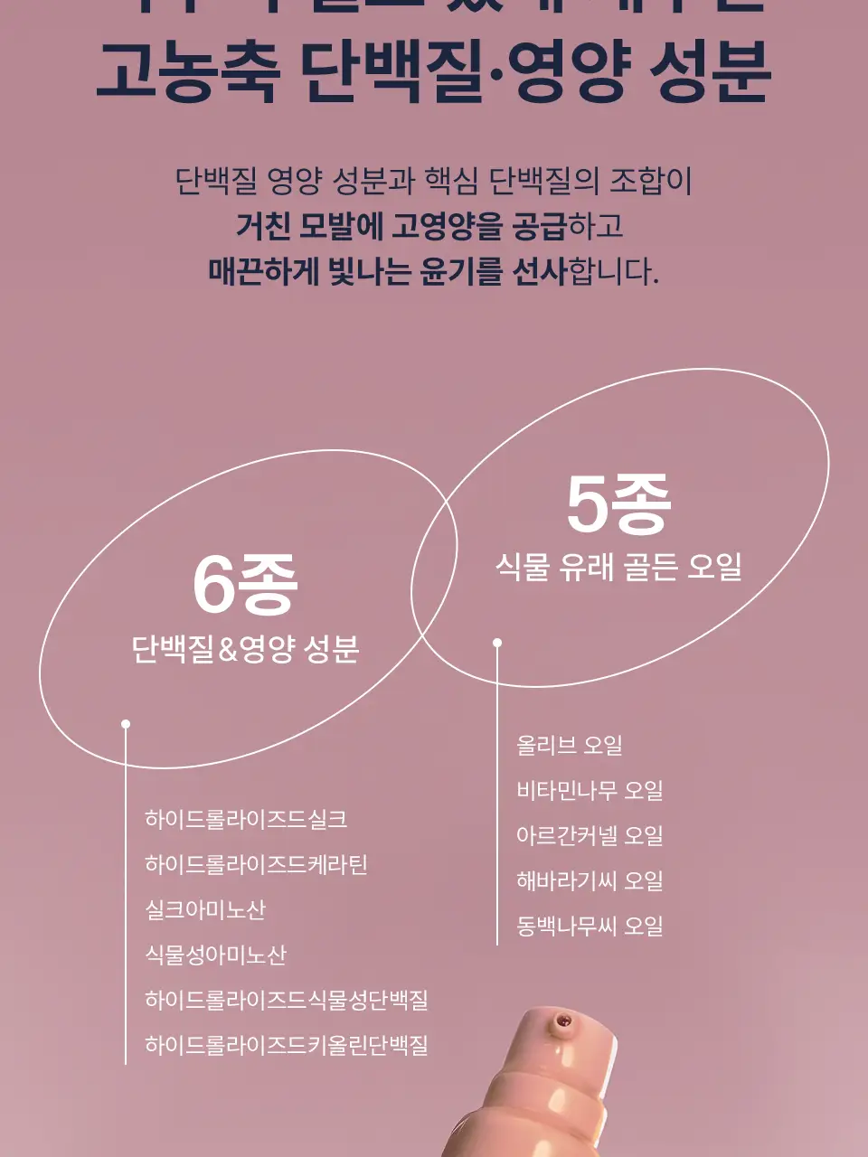 어노브 실크 헤어 오일 에센스 70ml 더블 기획 (텐더블룸/웜페탈) 상세페이지 24