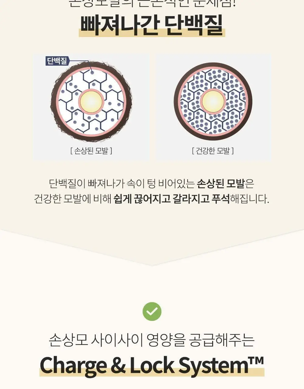 엘라스틴 아미노펩타이드 헤어 세럼 페어프리지아 150ml(극손상) 상세페이지 10