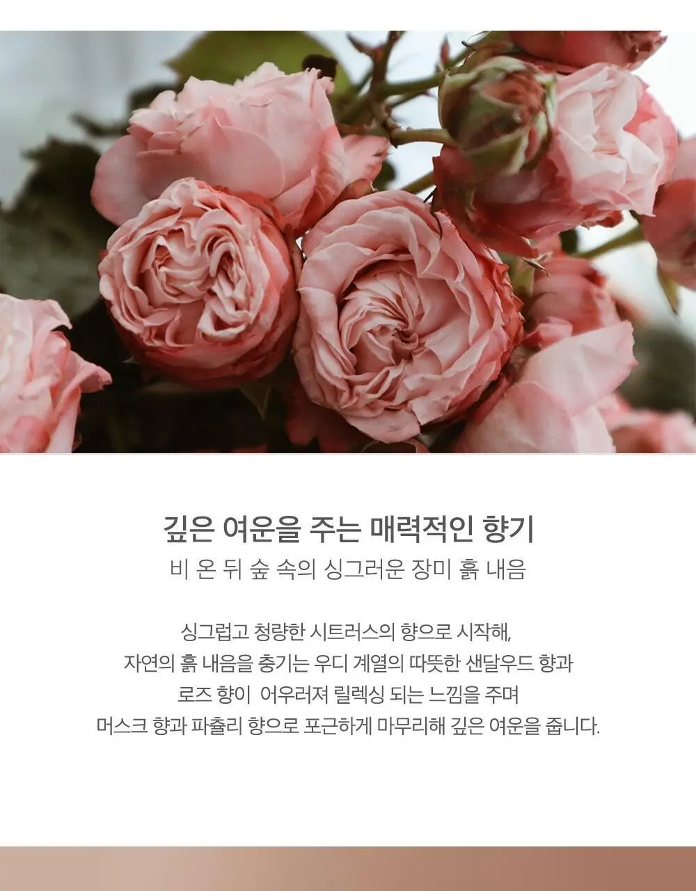 제니하우스 인텐시브 프로틴 앰플 100ml 상세페이지 7