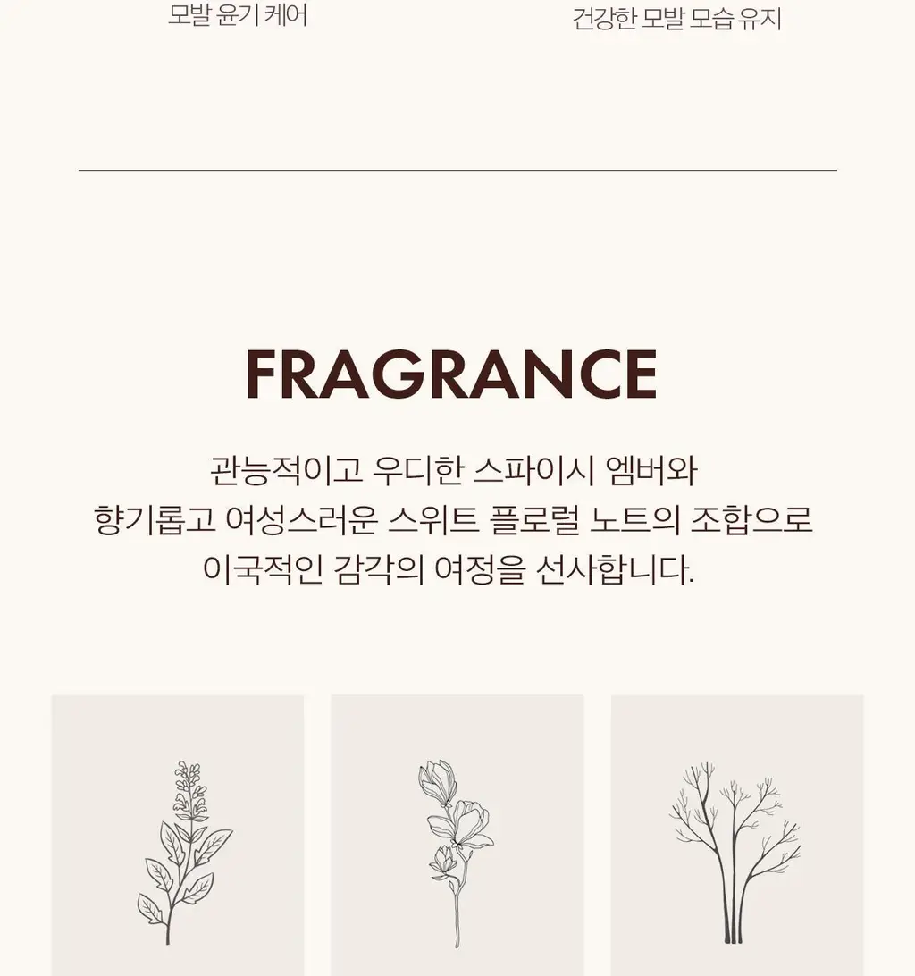 모로칸오일 인텐스 스무딩 세럼 50ml 상세페이지 10