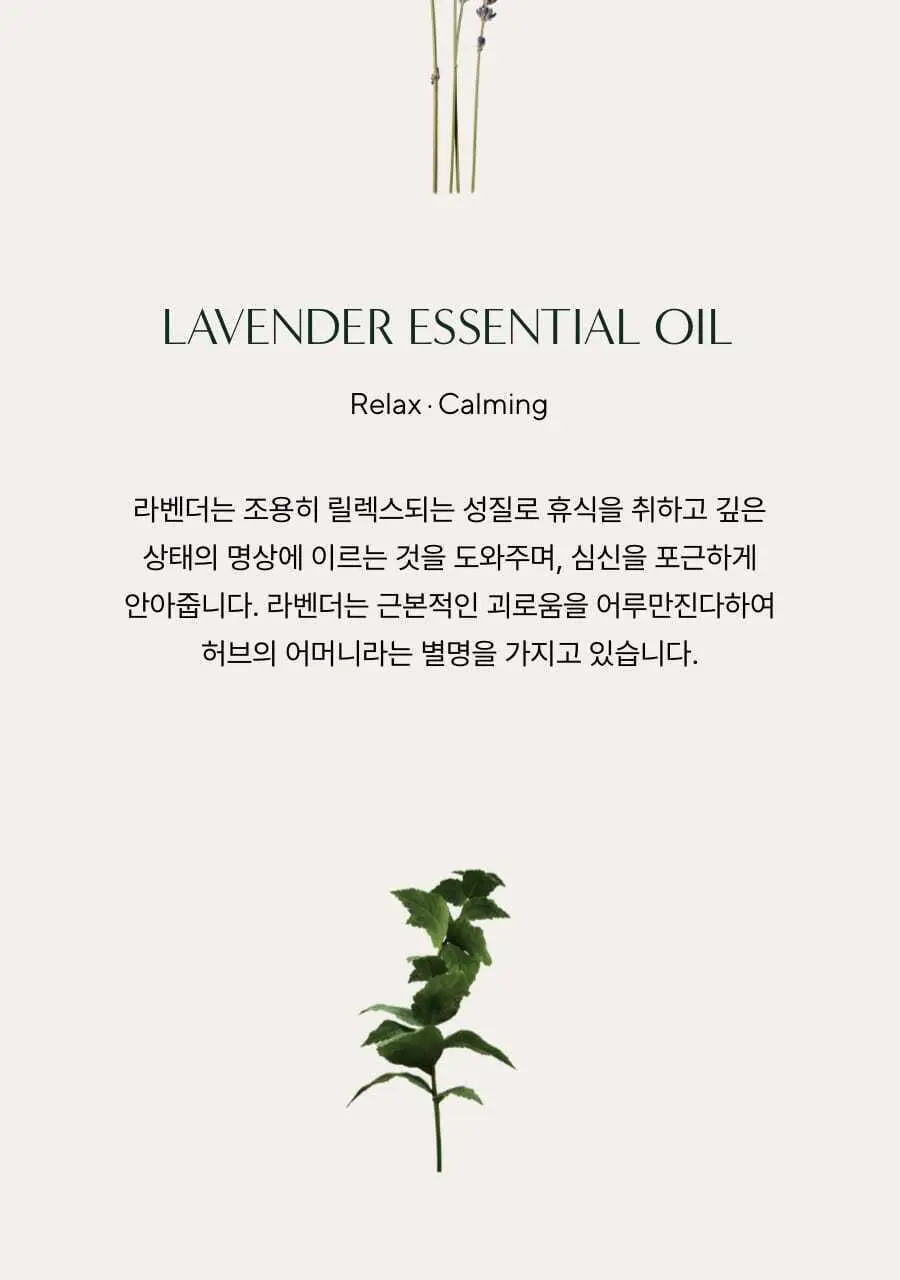 아로마티카 리츄얼 헤어 오일 라벤더&패츌리 50ml 상세페이지 4