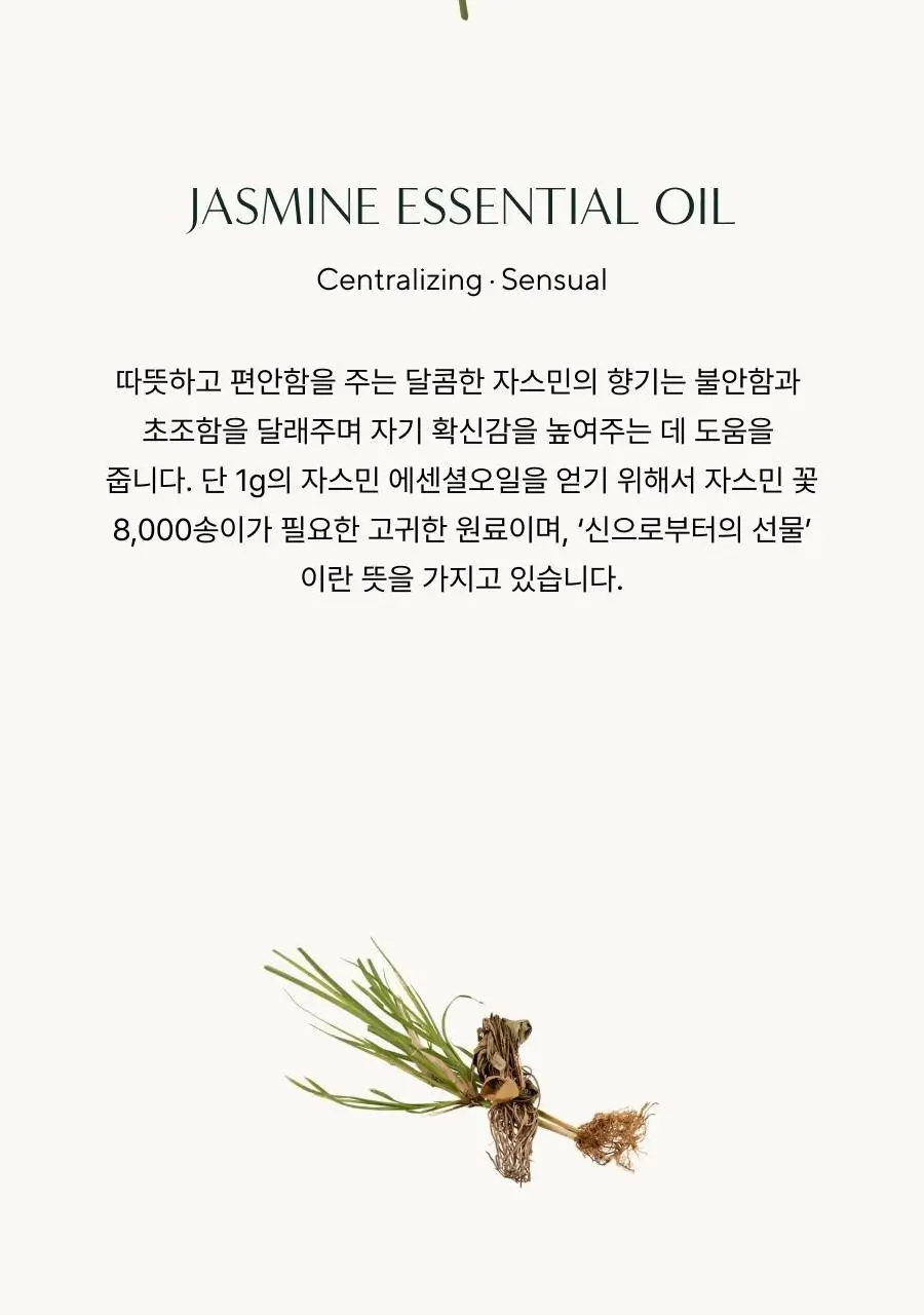 아로마티카 리츄얼 헤어 오일 자스민&베티버 50ml 상세페이지 4