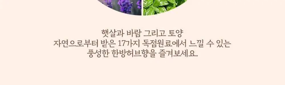 오색약손 다온 상세페이지 13