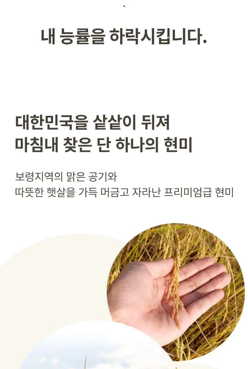 현미온미 눈찜질팩 브레드이발소 에디션 2종 (윌크, 브레드) 상세페이지 20