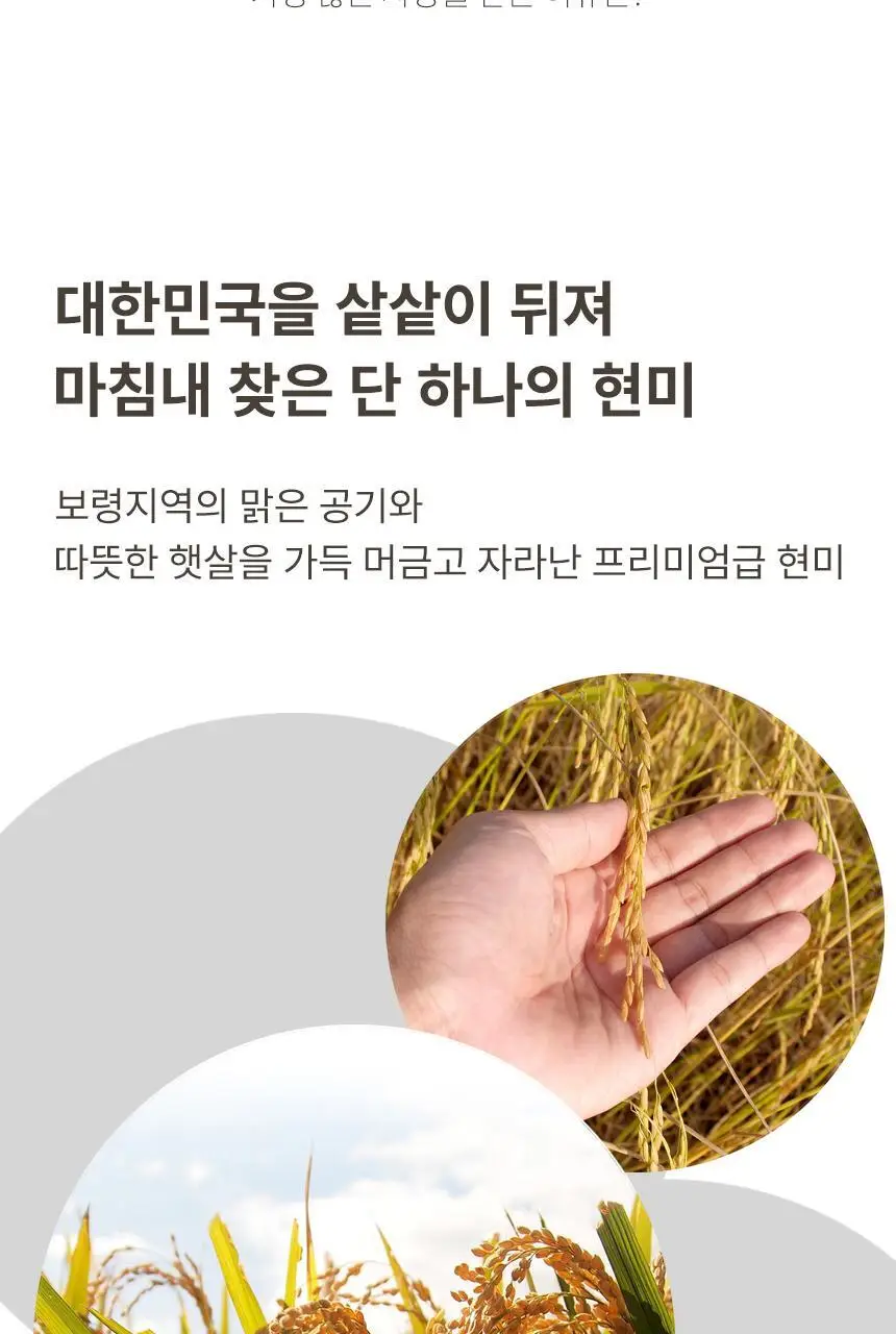 현미온미 브레드이발소 에디션 손난로 2종(윌크, 브레드) 상세페이지 13