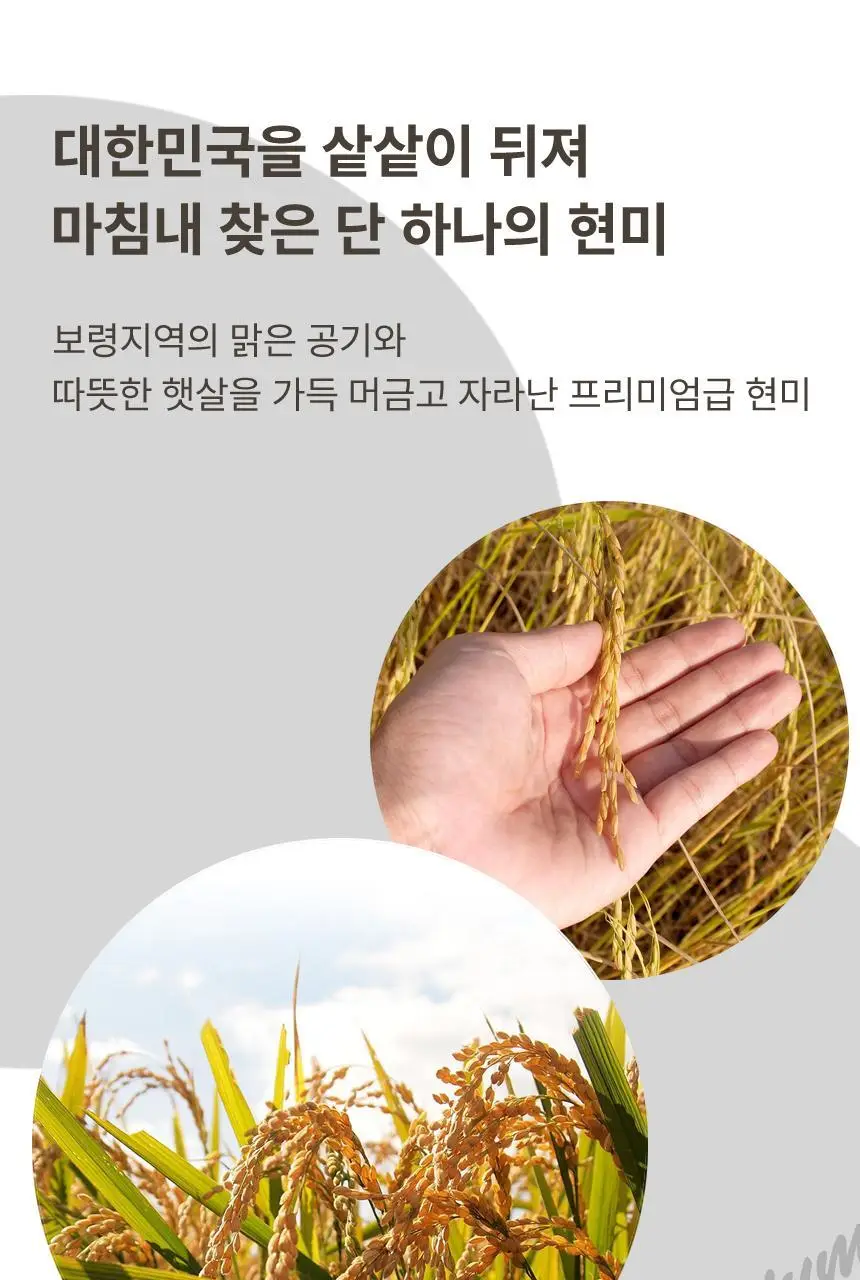 현미온미 온미베어 현미 찜질팩 4종 택 1 (누렁이/흰둥이/냥이/버니) 상세페이지 15