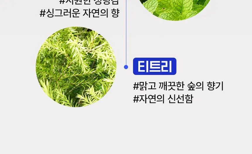 부엉이 레그 쿨링 시트 12매입 1박스 쿨링패치 상세페이지 19