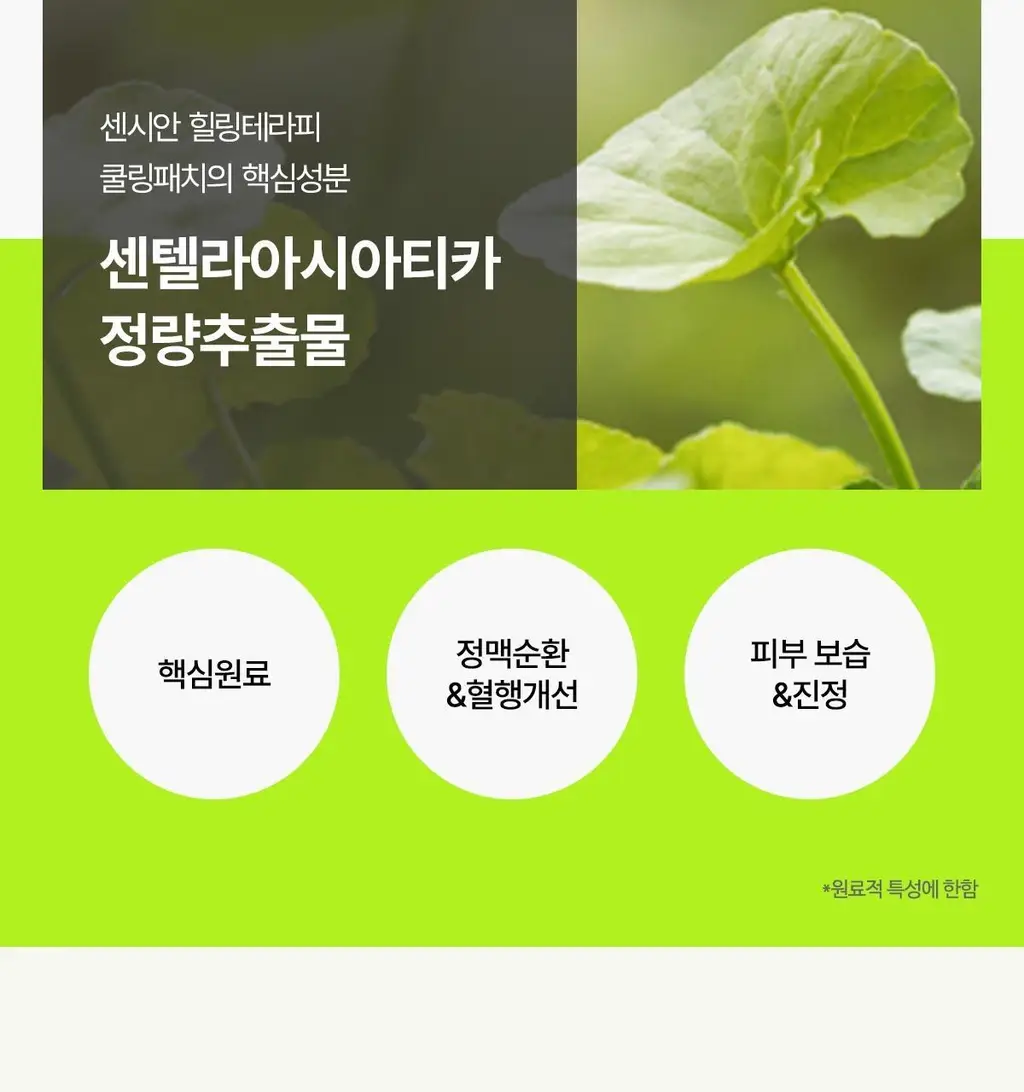 센시안 힐링테라피 쿨링패치 20매 (레그패치) 상세페이지 6