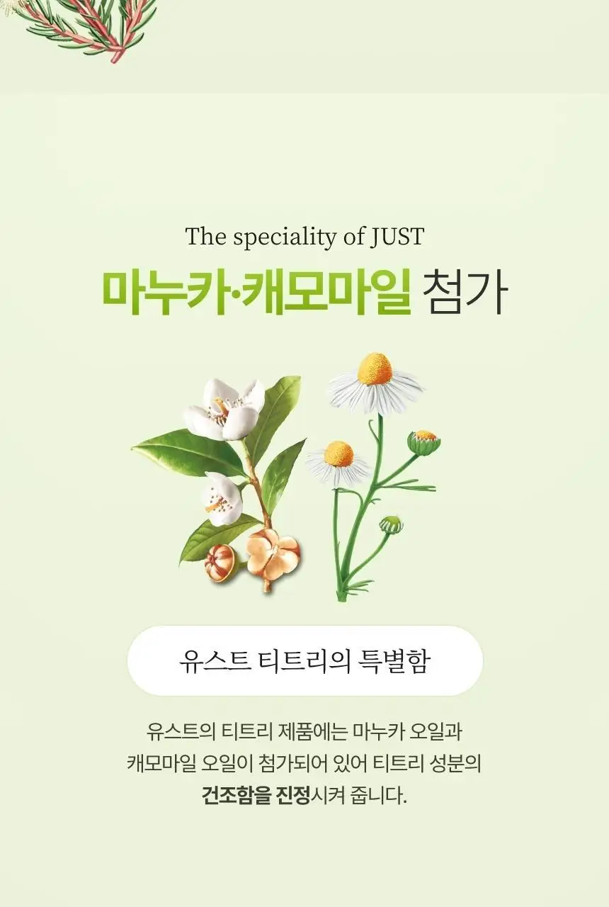 스위스유스트 티트리 오일 10ml 상세페이지 5