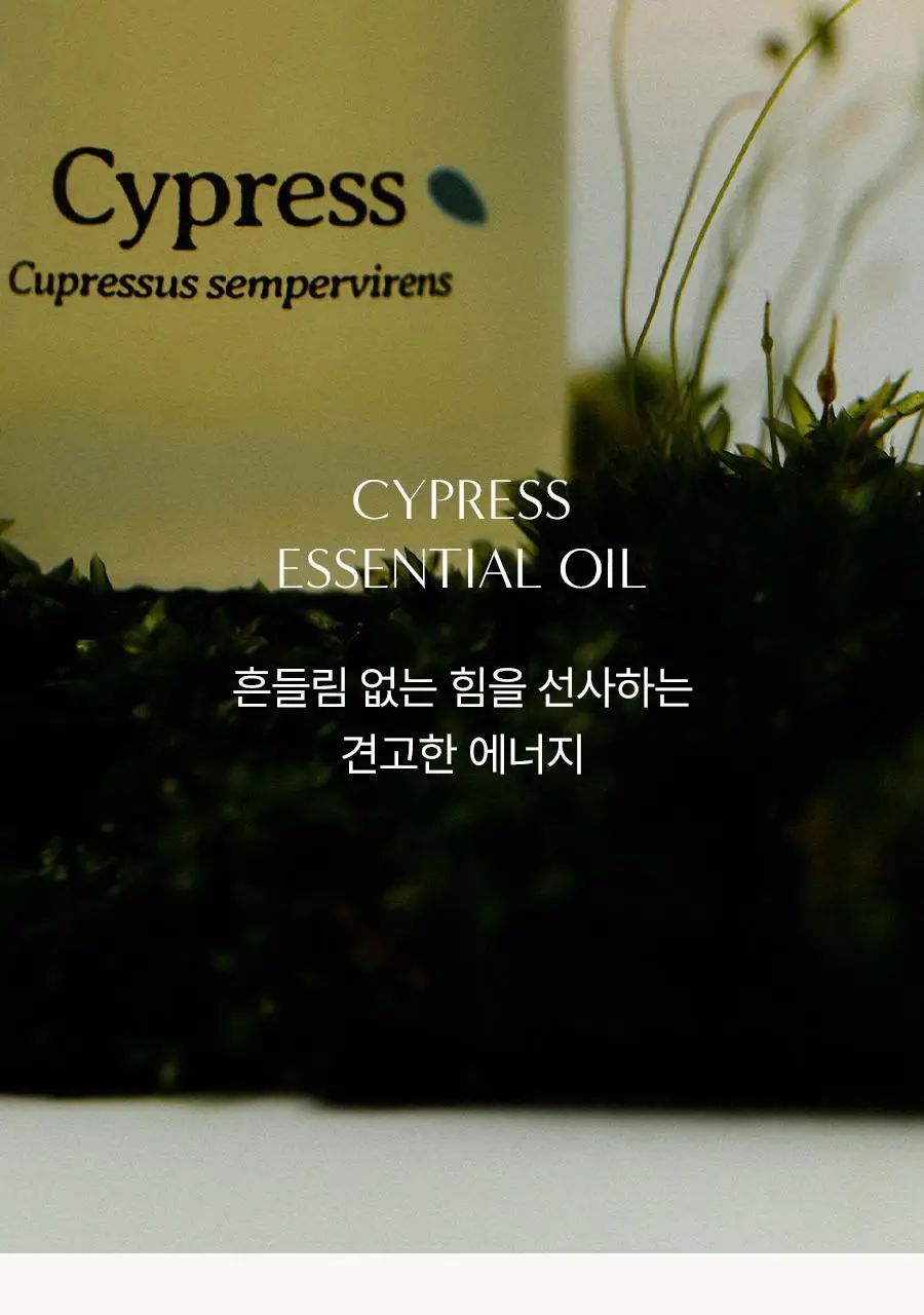 아로마티카 에센셜오일 10ml 6종 중 택1 상세페이지 14