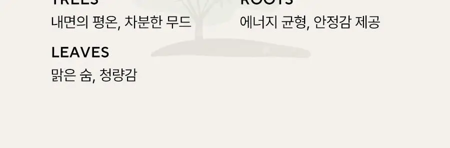 아로마티카 에센셜오일 10ml 6종 중 택1 상세페이지 21